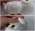 Eira Snowy Owl Amigurumi Pattern step 3 - details and accessories