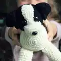 Border Collie Amigurumi Pattern step 4 - final assembly and finishing