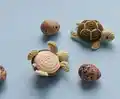 Small Turtle Amigurumi Pattern step 1 - construction progress