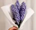 Lavender Flower Crochet Pattern step 3 - details and accessories