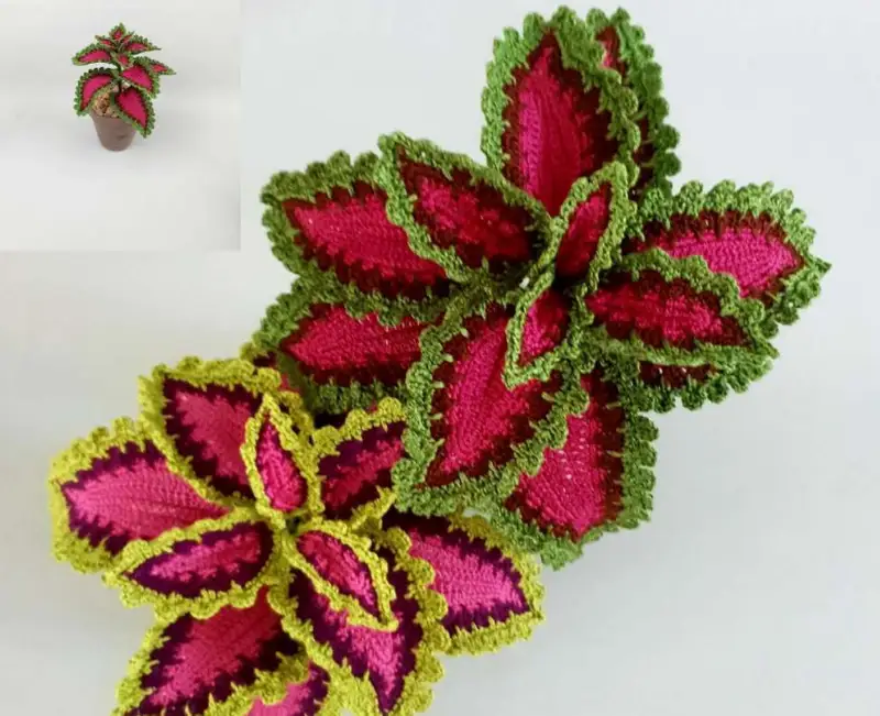 Complimentary Advanced crochet pattern: Watermelon Coleus Crochet Plant Pattern - Simple to follow guide