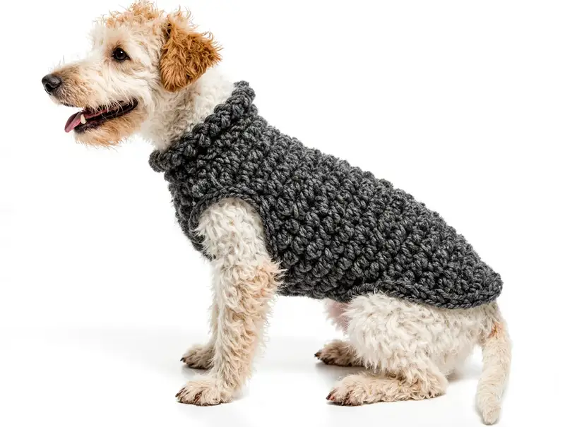 Complimentary Beginner Friendly crochet pattern: The Poet Dog Sweater Pattern - Simple to follow guide