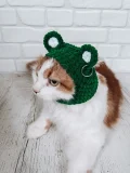 Cute Frog Pet Balaclava Crochet Pattern step 1