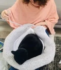 Easy Doughnut Pet Bed Crochet Pattern step 3
